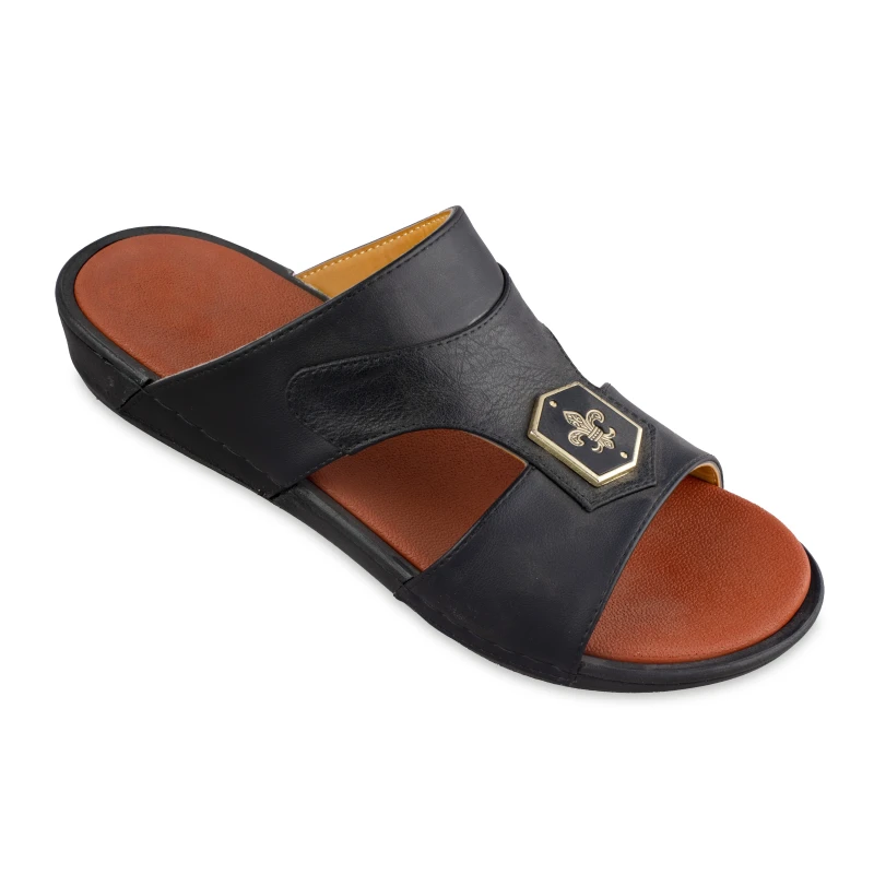 سینڈل 504 مانی