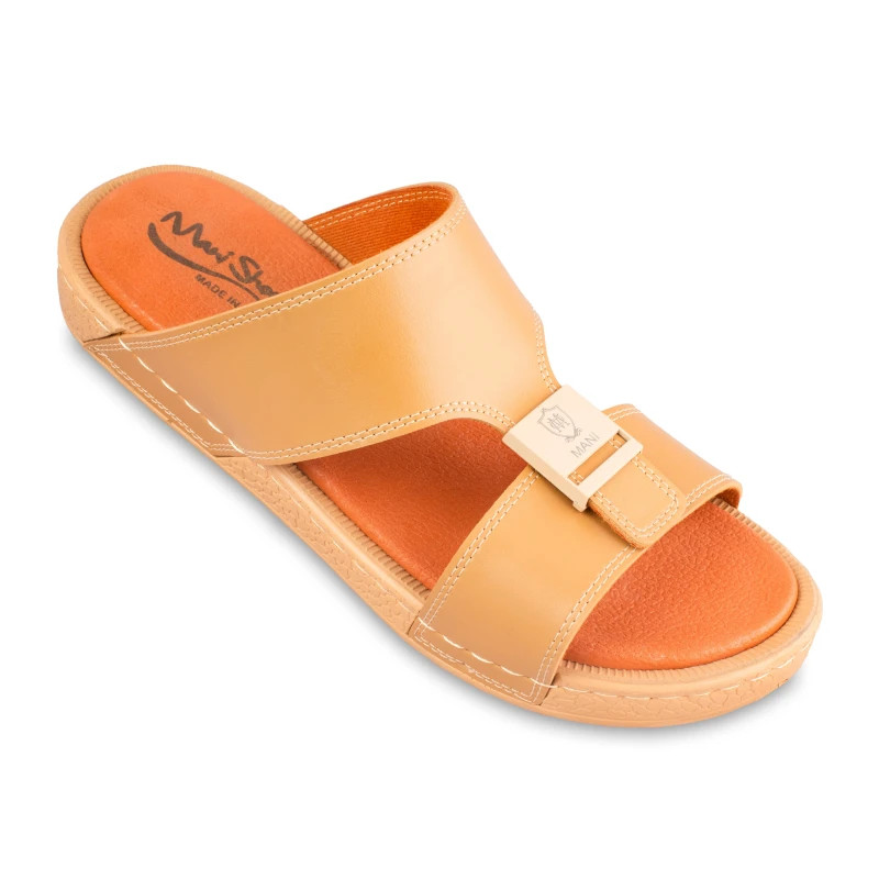 سینڈل 2033 مانی