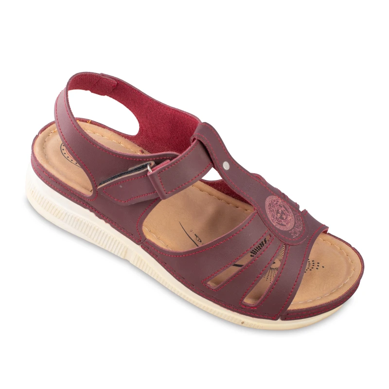 صندل رکابدار فرزانه رکابدار عباد رنگبندی زرشکی