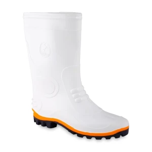 Rain Boot Sagh kotah Manapa